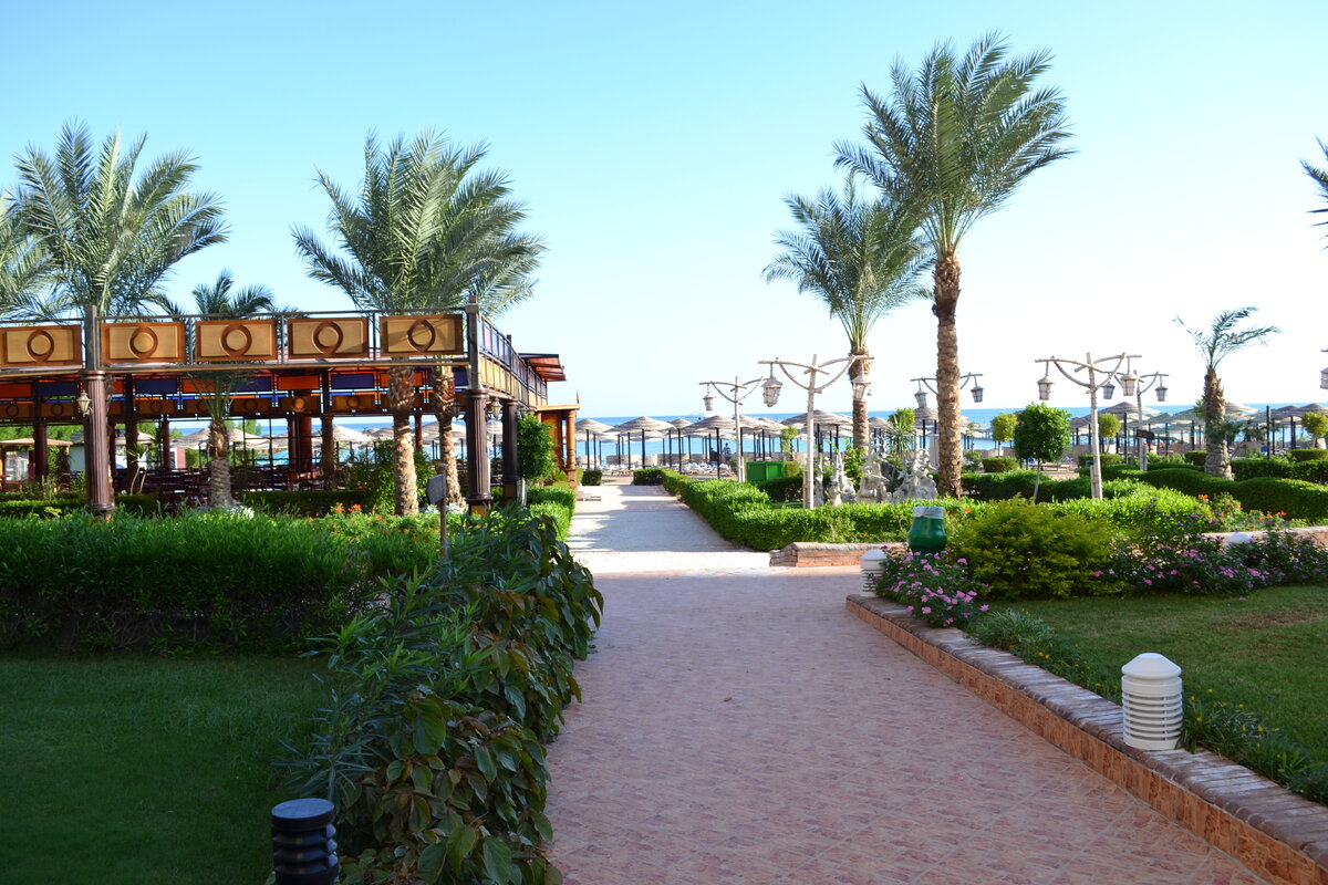 Территория египетского отеля 5* в Хургаде. Фото: личный архив.