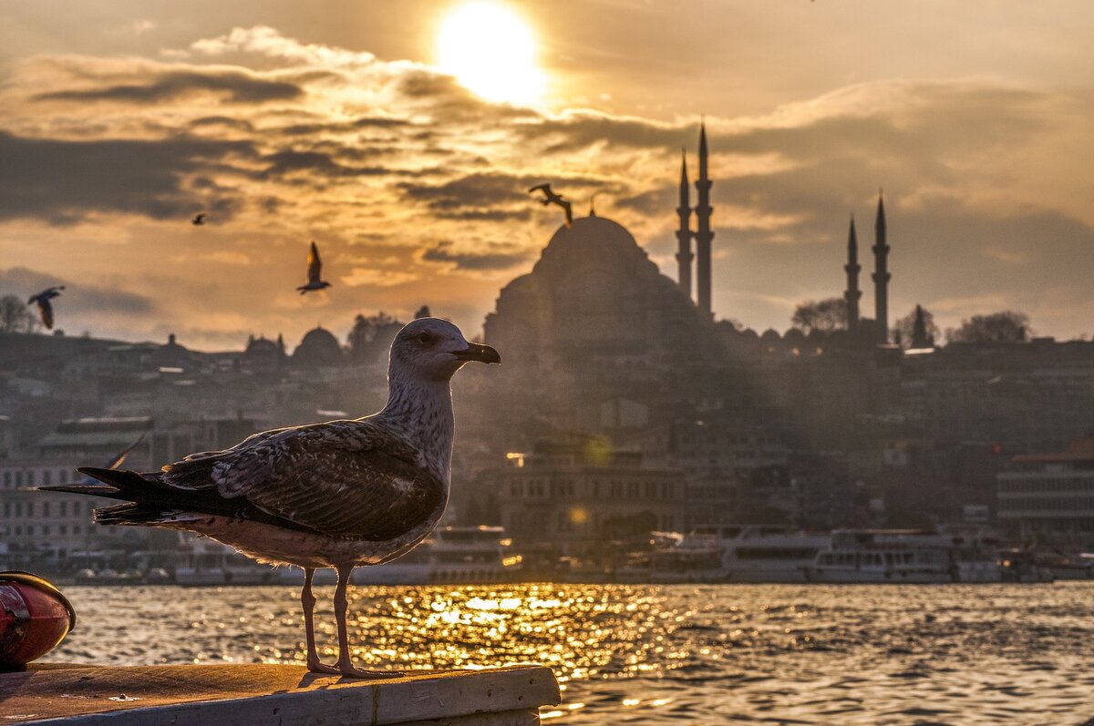 Любоваться красотами Стамбула можно и днем, и ночью. Это же необычайный город! Город 30 миллионов жителей! А сколько еще туристов?! Днем одни привлекают внимание достопримечательности, а ночью другие.