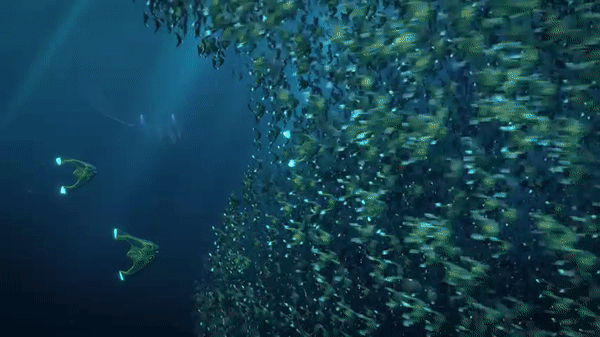 Спасибо за просмотр!