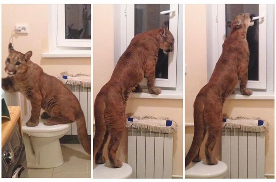 Источник: takiedela.ru