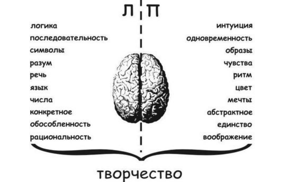 Кто такой амбидекстр