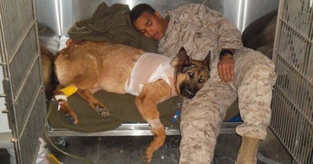 Родригес и Люкка