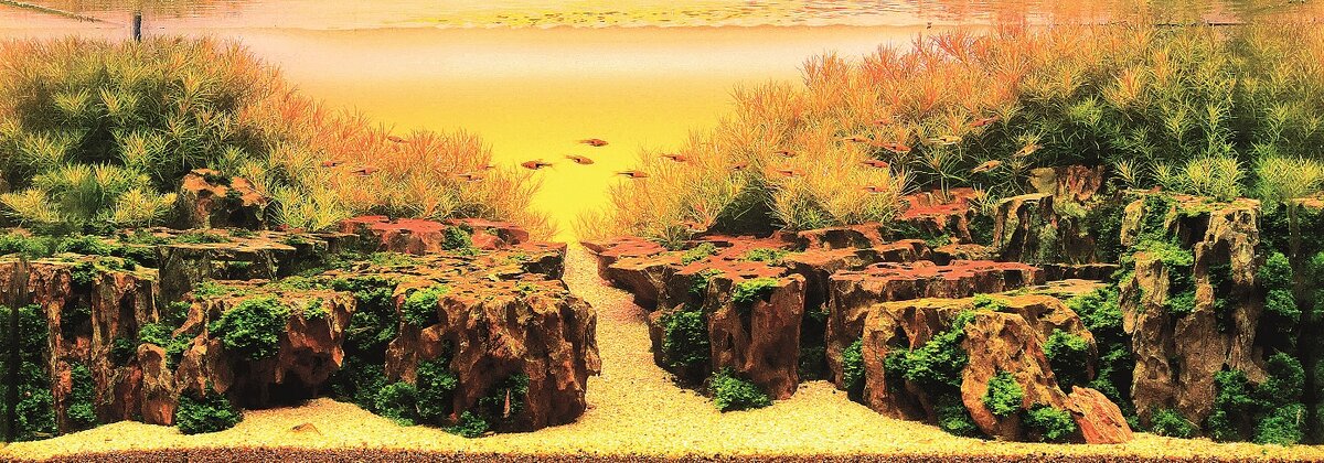 Аквариум: 90х45х45 см "Loess plateau" ( "Лессовое плато")