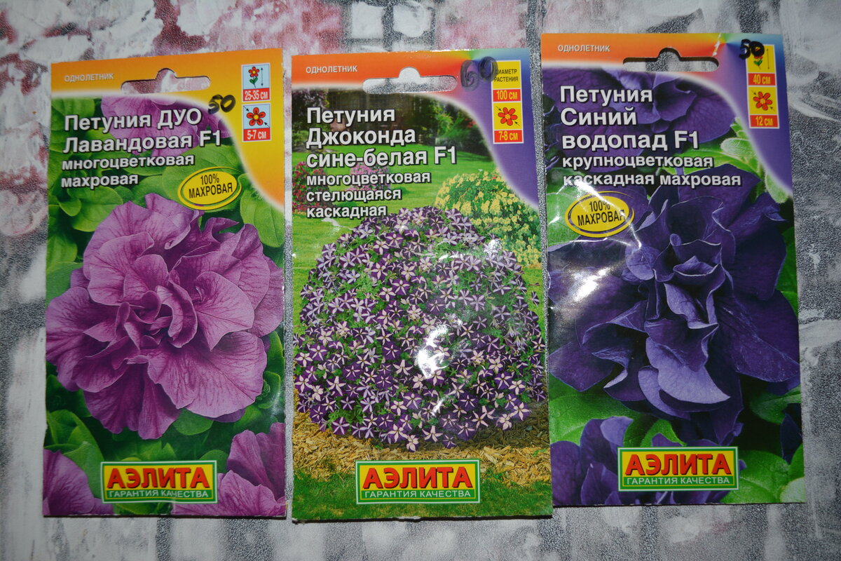 Цвет настроения - лавандово-фиолетовый)))