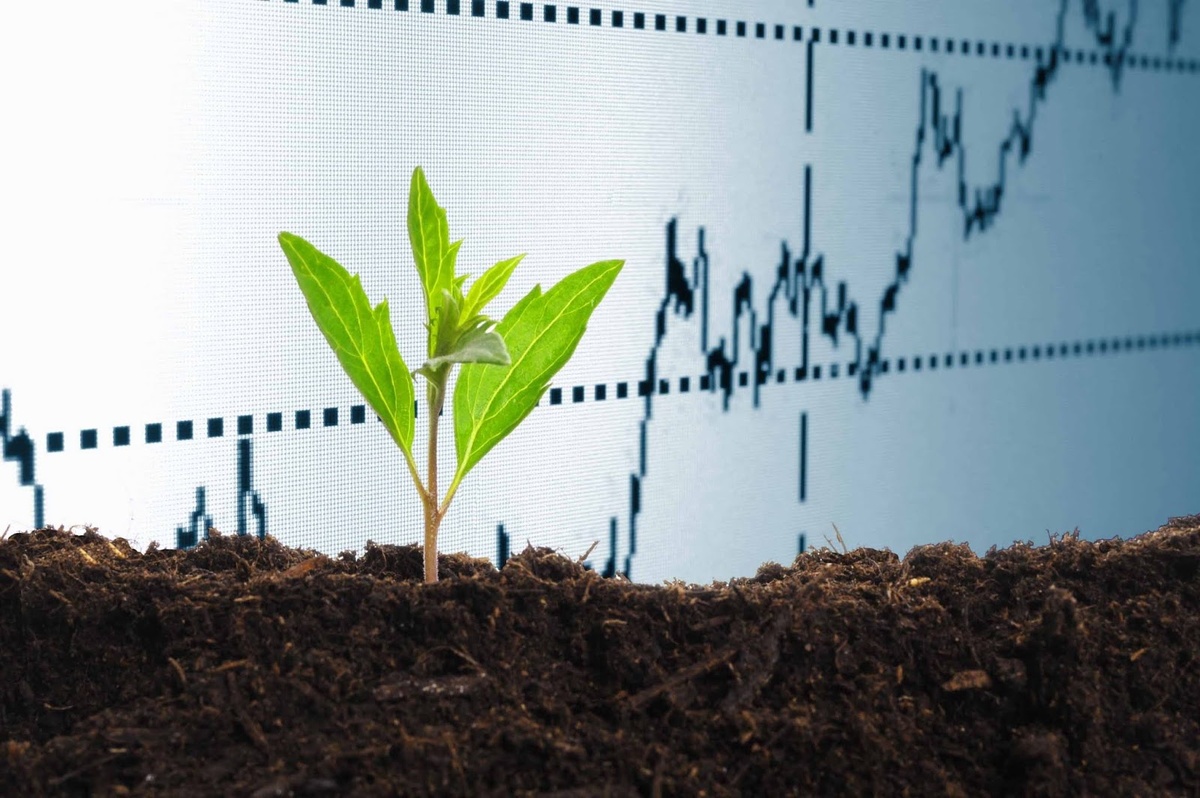 Доходность инвестиционного портфеля за февраль 2019 года