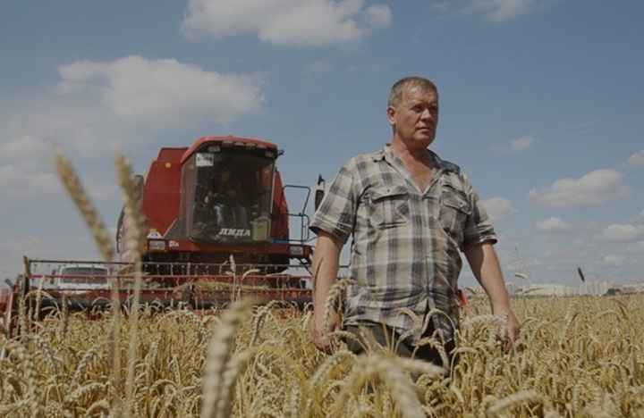 Каждый выбирает сам