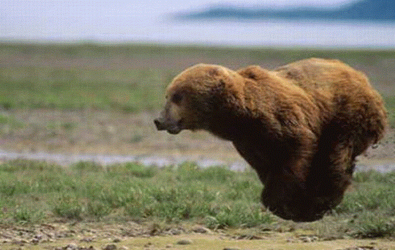 Малина просто класс, малина просто класс!!