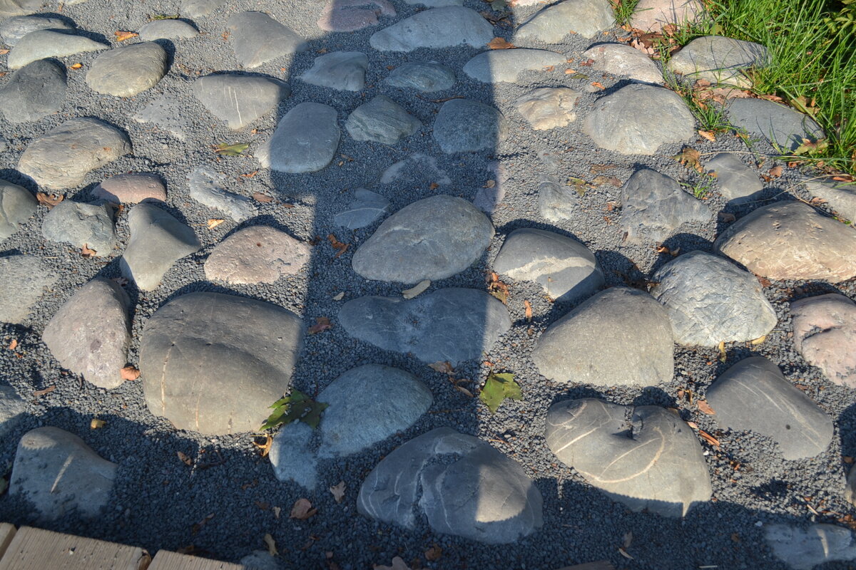 Оформление дорожек,  