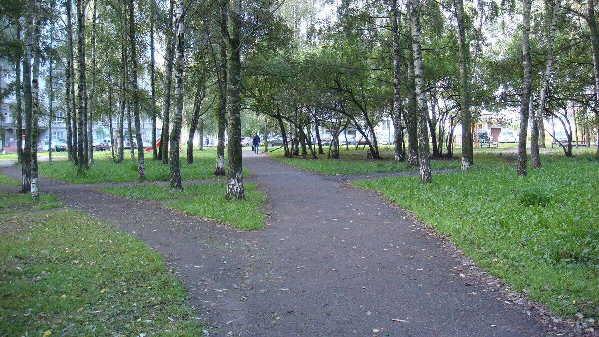 Вот такой двор. Есть, где погулять.(Фото автора)