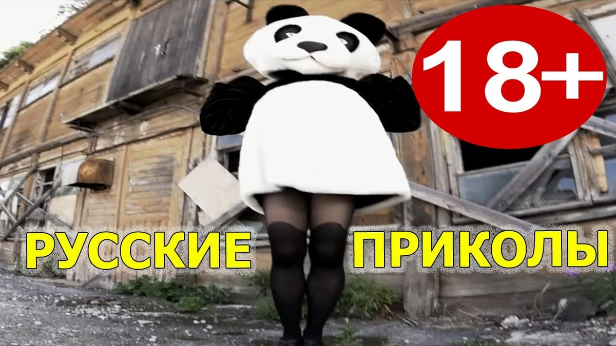 16 минут я смеялся без остановки!! Самая смешная подборка видео! | Юморные  видео! | Дзен