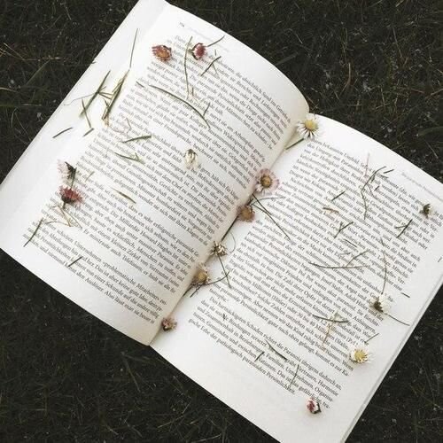 http://weheartit.com/entry/299145283