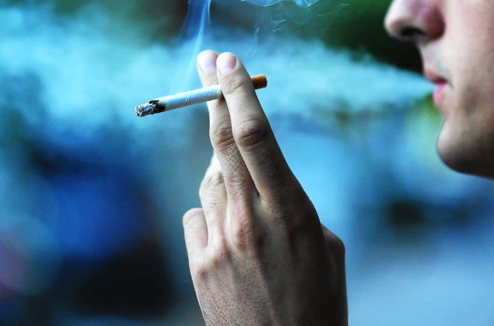 Вредные привычки тельцов, советы астрологов, 12 знаков зодиака