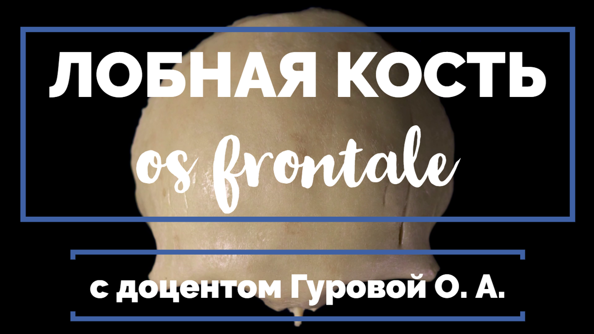 Понравилось видео? Поблагодарить легко! Поделитесь этой записью, ставьте лайки, вступайте в группу (ВСЯ ИНФОРМАЦИЯ НА НАШЕЙ ГЛАВНОЙ СТРАНИЦЕ В ЯНДЕКС.ДЗЕН). 