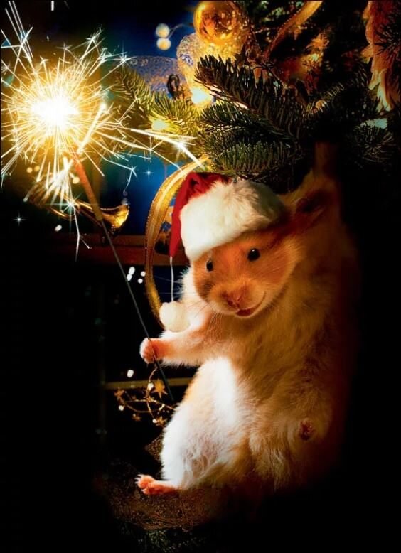 Что положить в основу планирования? Свои ценности или чужие ожидания? И чей план вы пишите? Разберёмся?