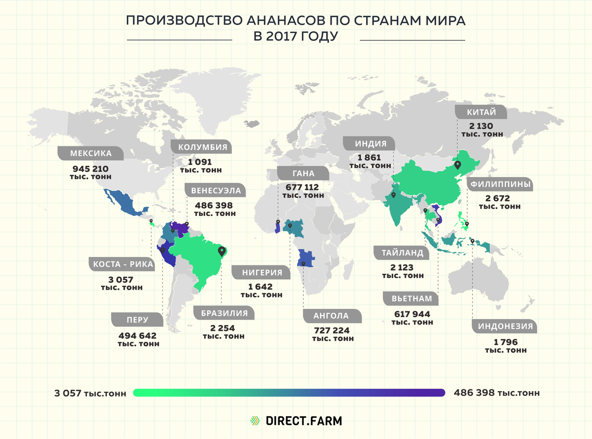 Где больше всего производят. Страны Лидеры по производству ананасов. Производство ананасов. Мировое производство. Карта мирового производства.