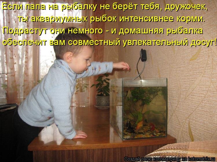 Источник  kotomatrix.ru