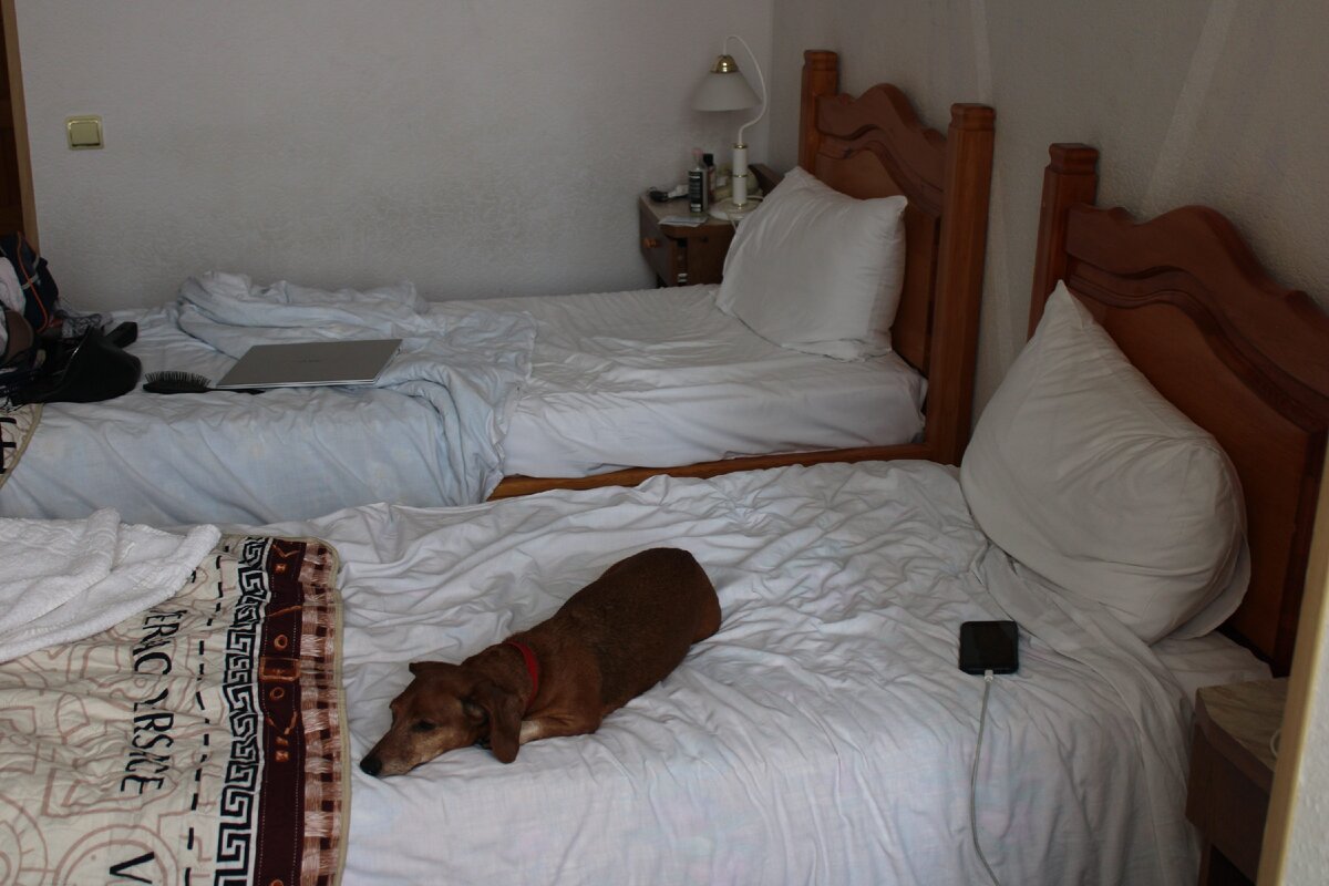 Бонни в Анапе