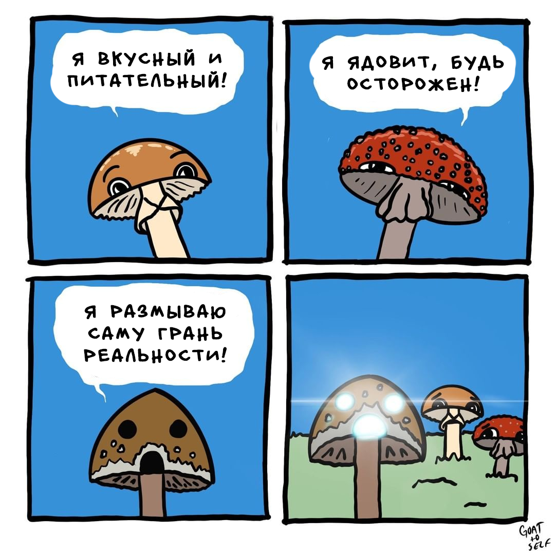 Гриб Мем