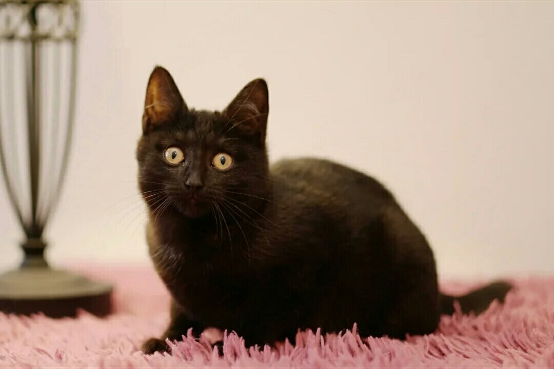 Бастинда !!!))) 