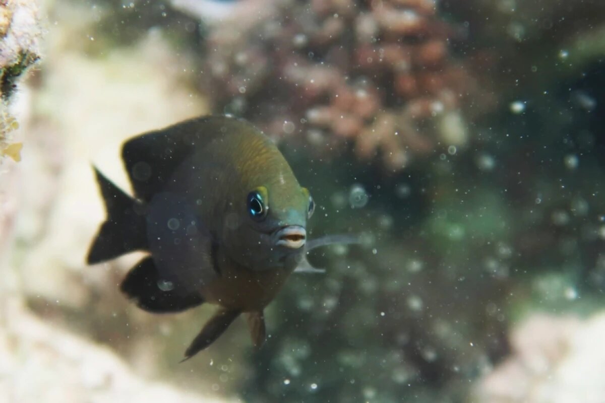 Источник: yandex.ru