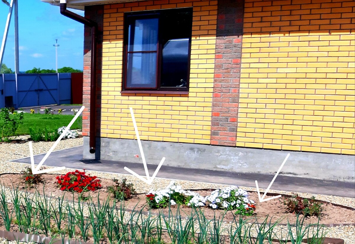 Рассада подрастает. Конец мая 2020