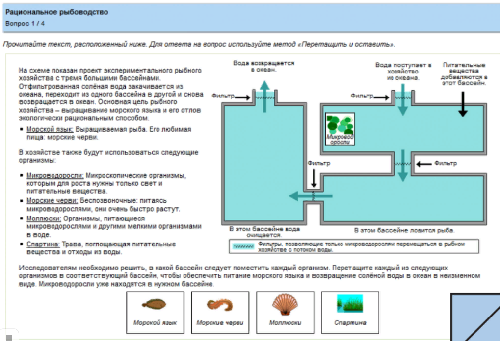 Пример задания, выложенного в открытый доступ. https://rosuchebnik.ru/material/issledovaniya-pisa-2018-v-rossii/