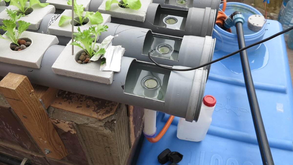 Источник: Яндекс.Картинки 