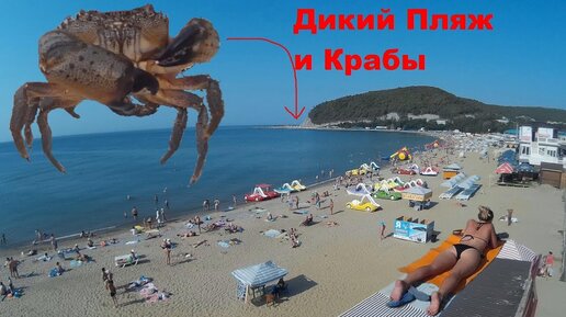 Приколы про море (33 фото)