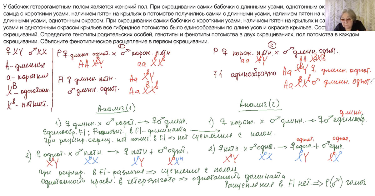 У собак жесткая шерсть доминантна мягкая рецессивна. Сложные задачи по генетике ЕГЭ. Оформление генетических задач в ЕГЭ. Задачи ЕГЭ по биологии генетика. Задачи по генетике ЕГЭ биология.