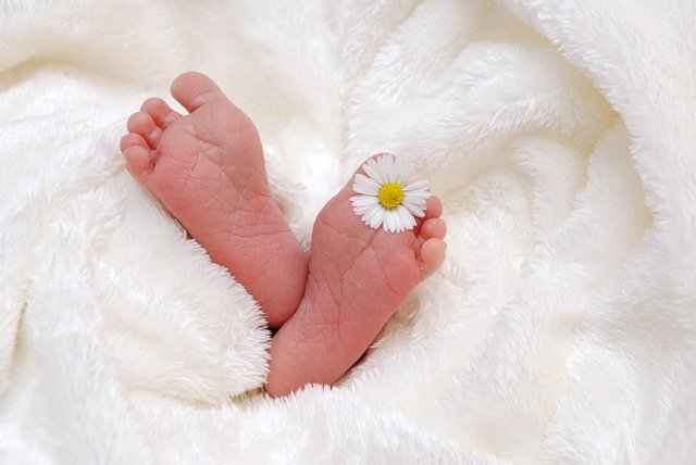 Милое фото с ножками малыша и цветочком с сайта: https://pixabay.com/ru/photos/