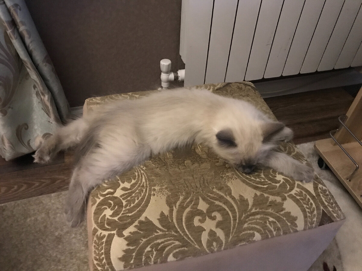 Ну или вот так. 