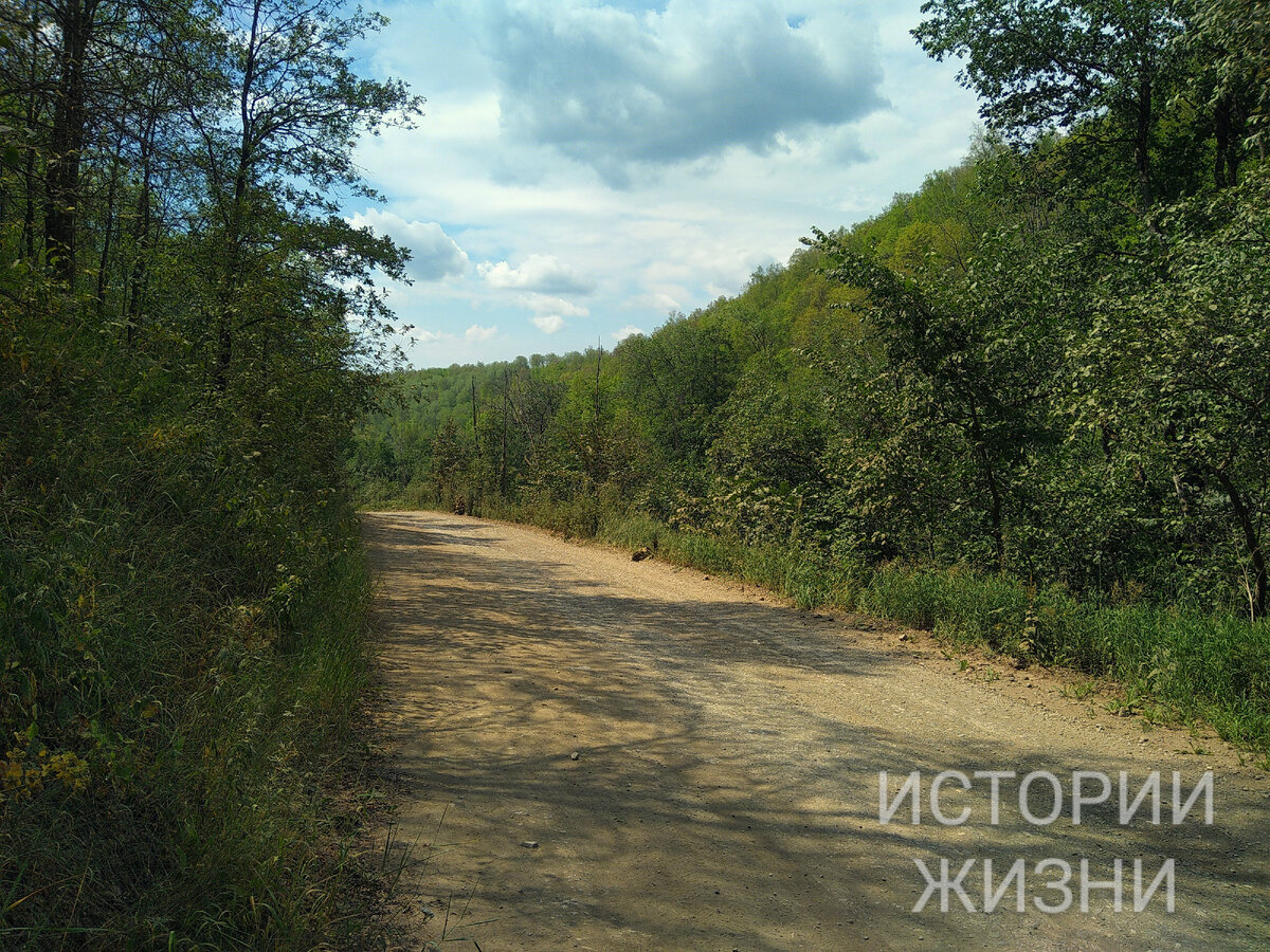 Дорога после д.Мраково.