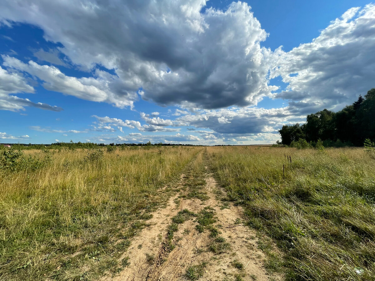 Выяснилось, что есть менее ухабистая дорога по полю