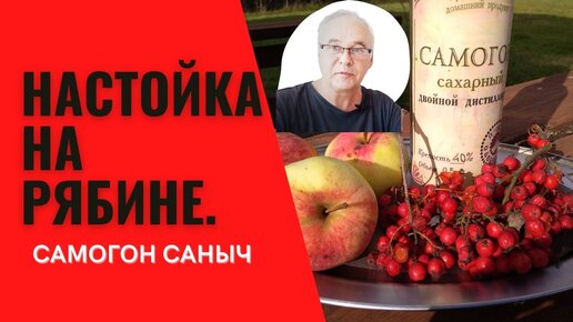 Настойка из рябины. Рецепты настоек. Самогон Саныч.