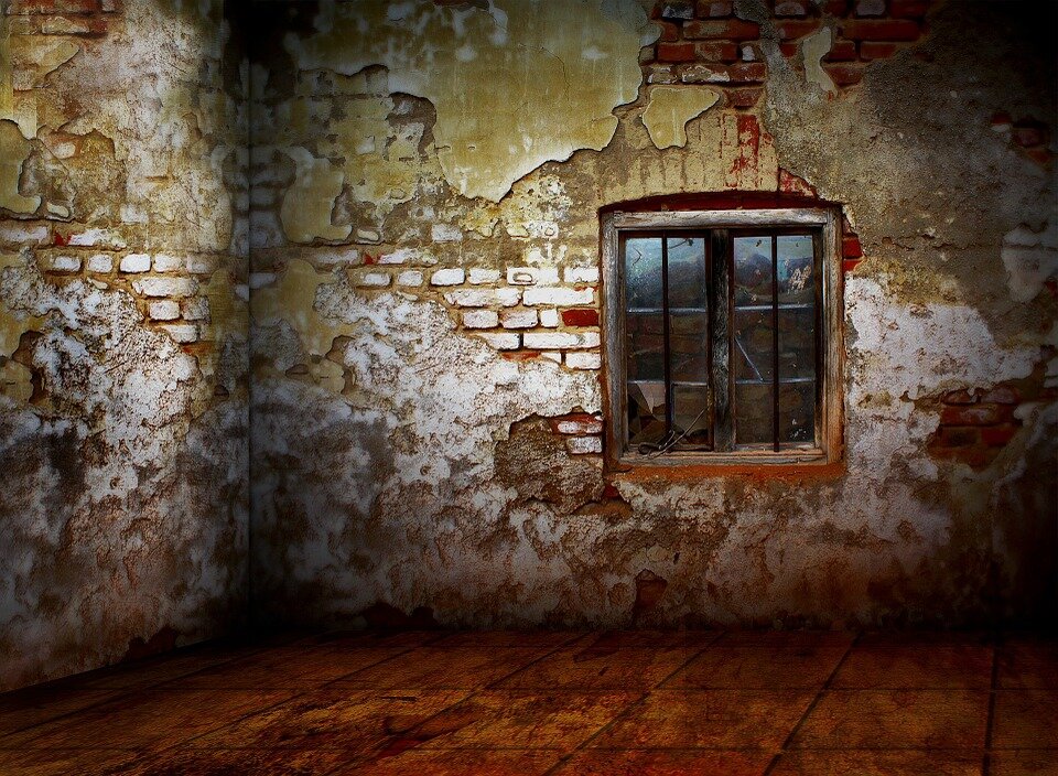 Изображение _Marion с сайта Pixabay 