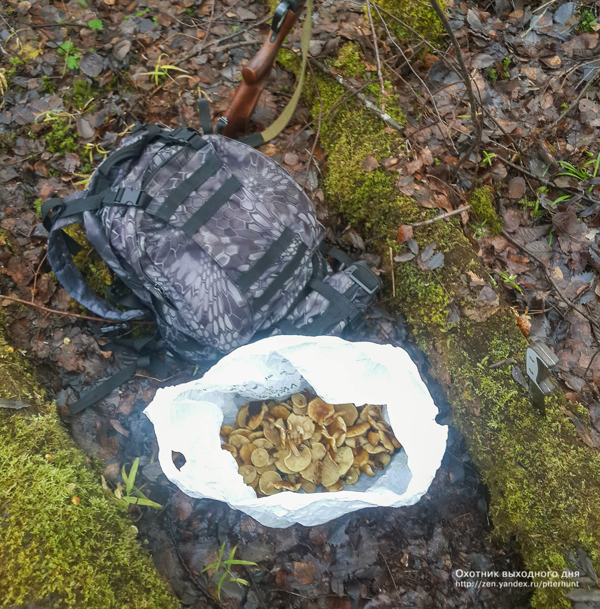 Одна из немногих фотографий старого рюкзака.
