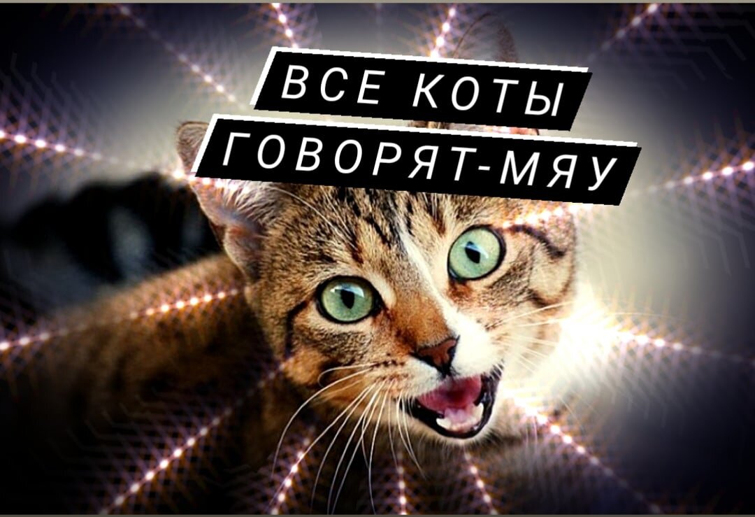 Что это может значить? Ответим в статье!