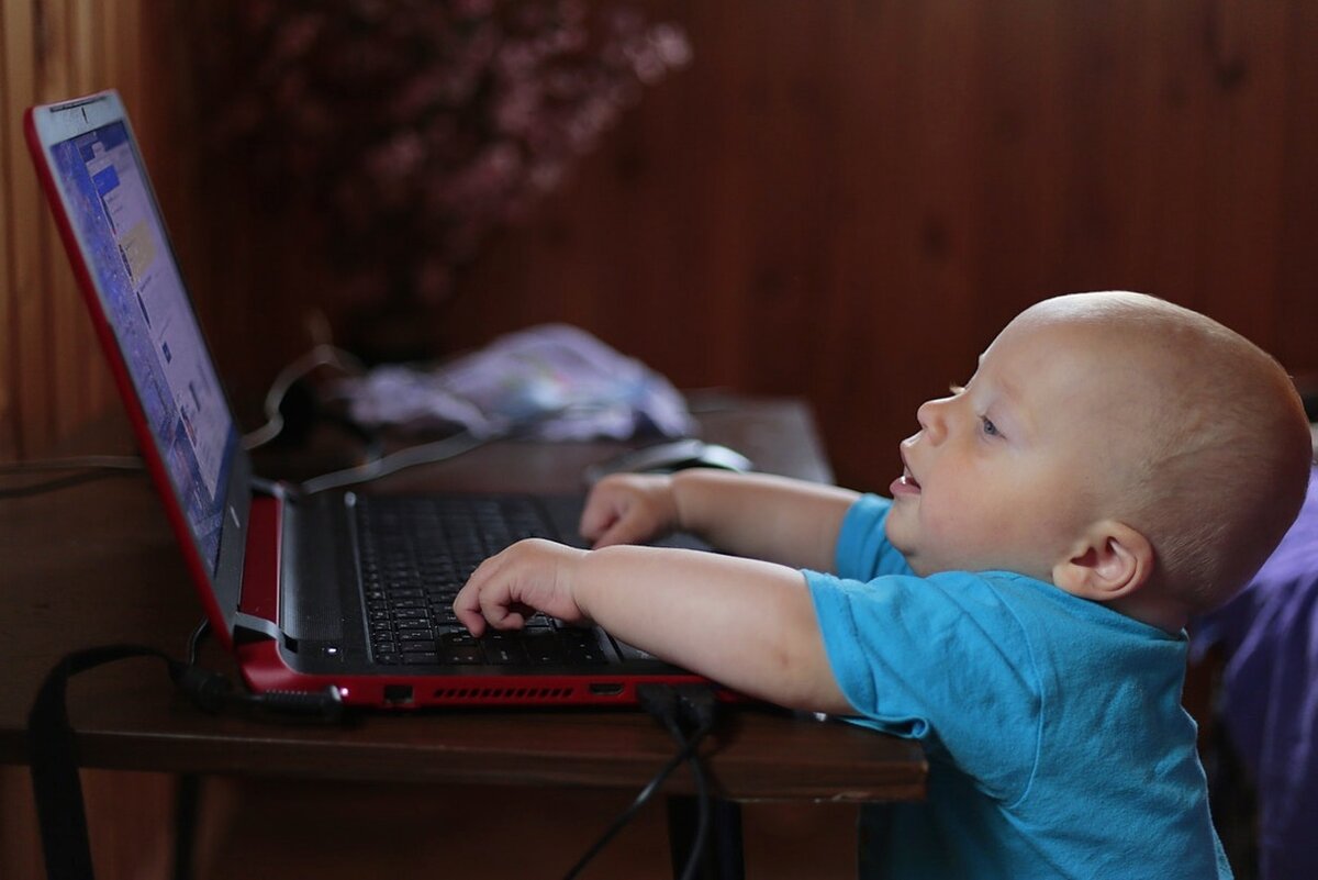 Фото из стока https://www.pexels.com