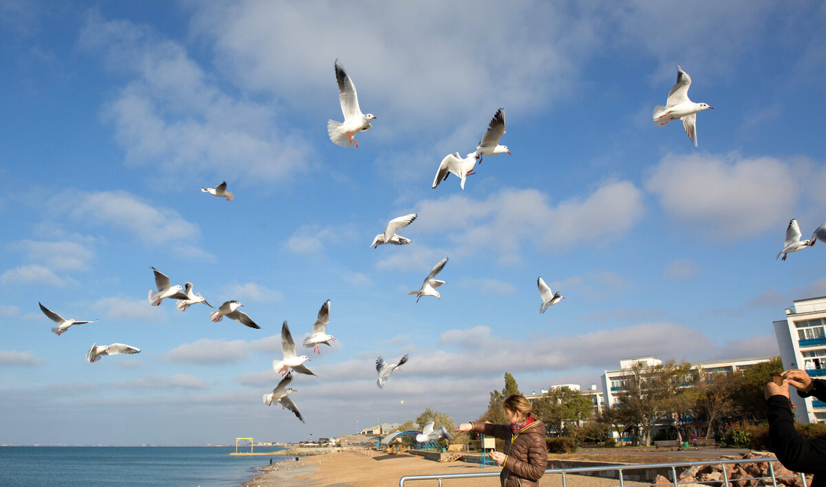 Город Саки  // Фото: пресс-служба Министерства курортов и туризма Республики Крым 