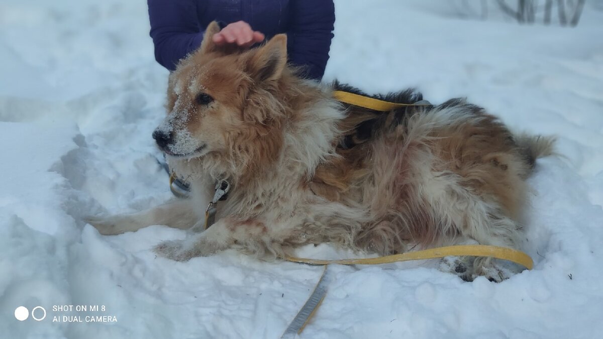 Дедушка Джек