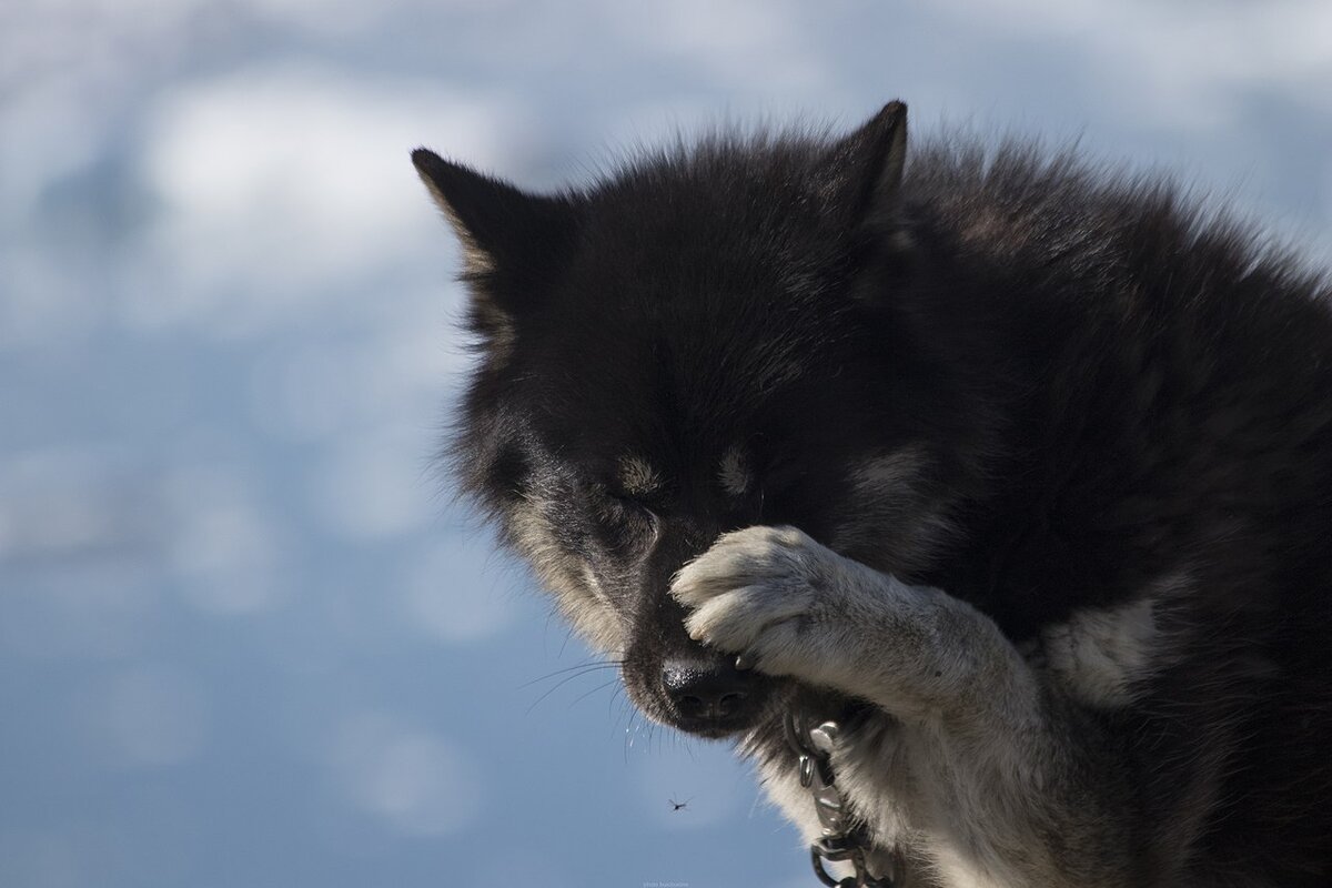 Источник: https://clck.ru/dsLaQ