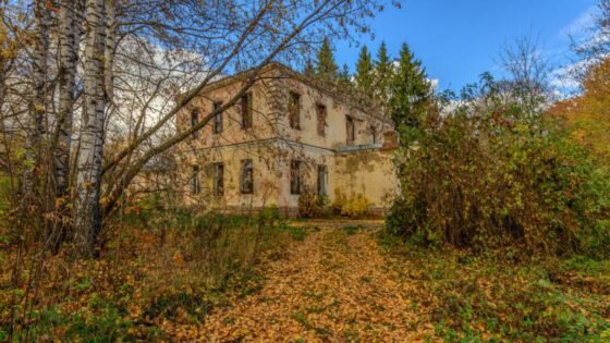 Екатерининский дендрологический парк. Фото: vestitambov.ru