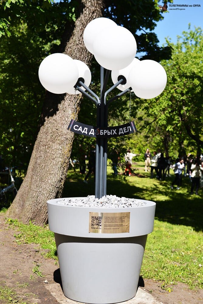 Добрый садик иркутск. Дерево добрых дел. Сад добрых дел. Сад добрых дел. День добра в детском саду.