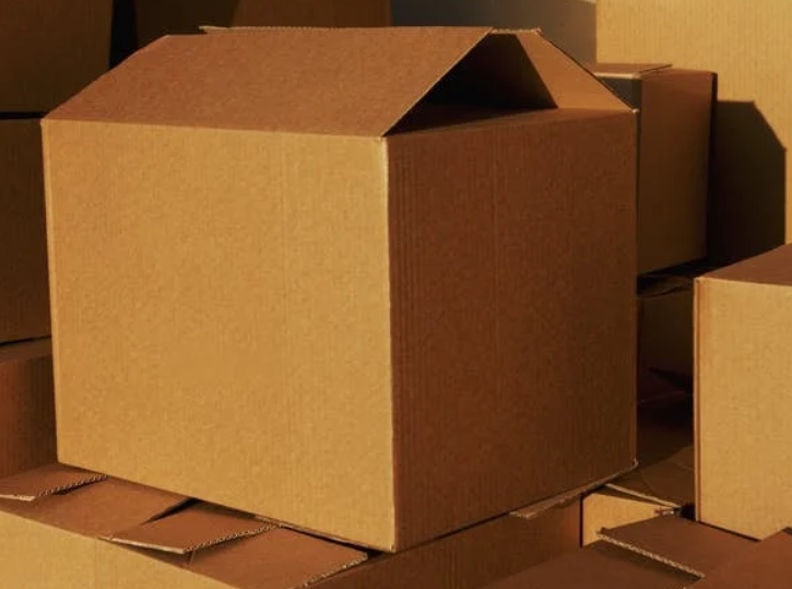 Фото: pexels.com