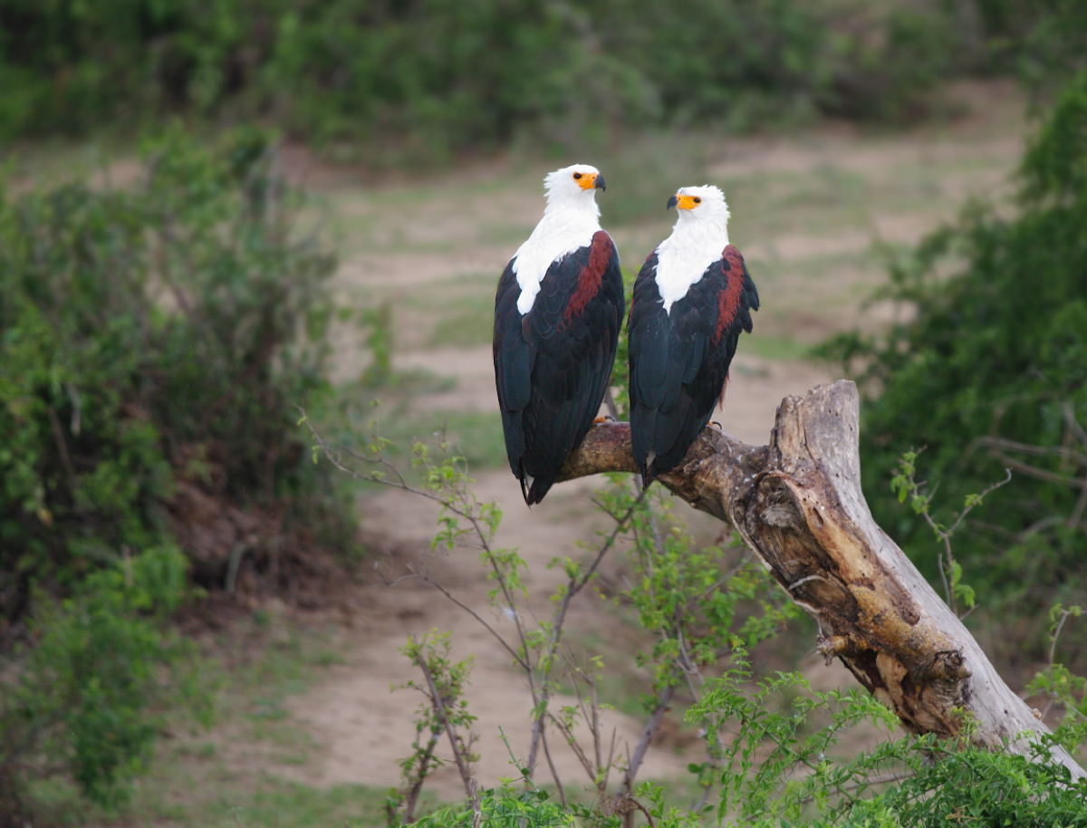 ���� � ������ �� ���������. � � ����� ���. �����! 