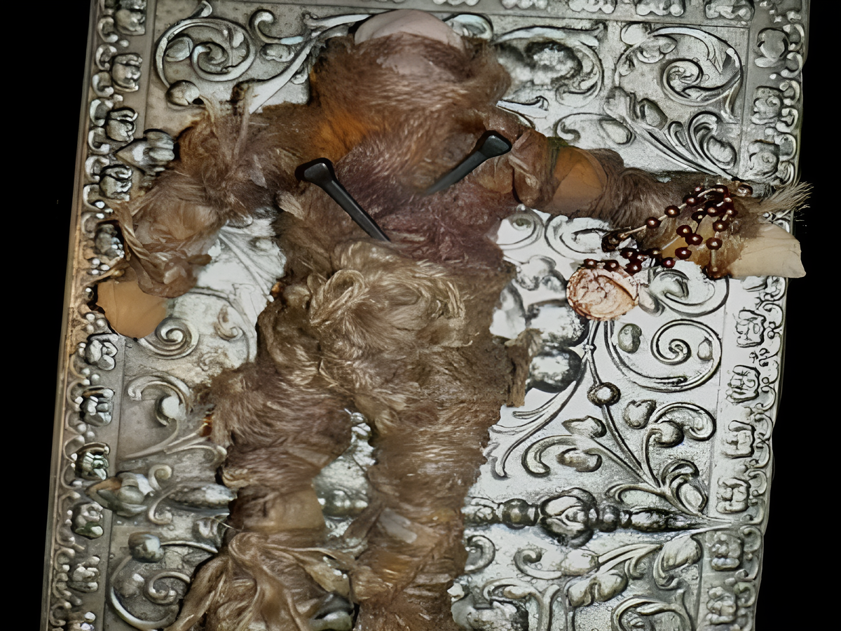 Фотография SCP-3800-B, сделанная женщиной до своей гибели.