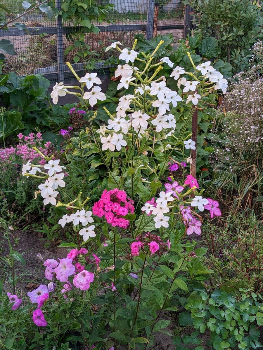 Запах обалденный