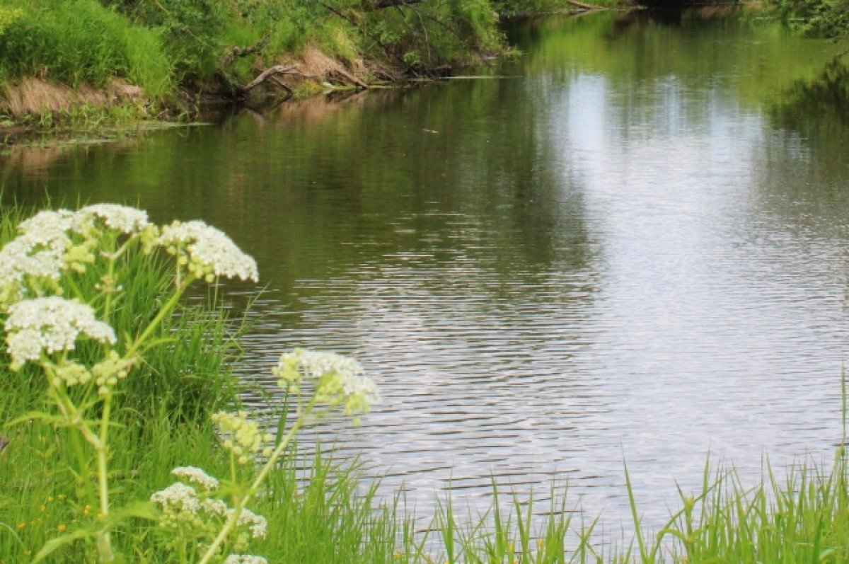   В Кировской области двое мужчин с ребёнком пропали на сплаве