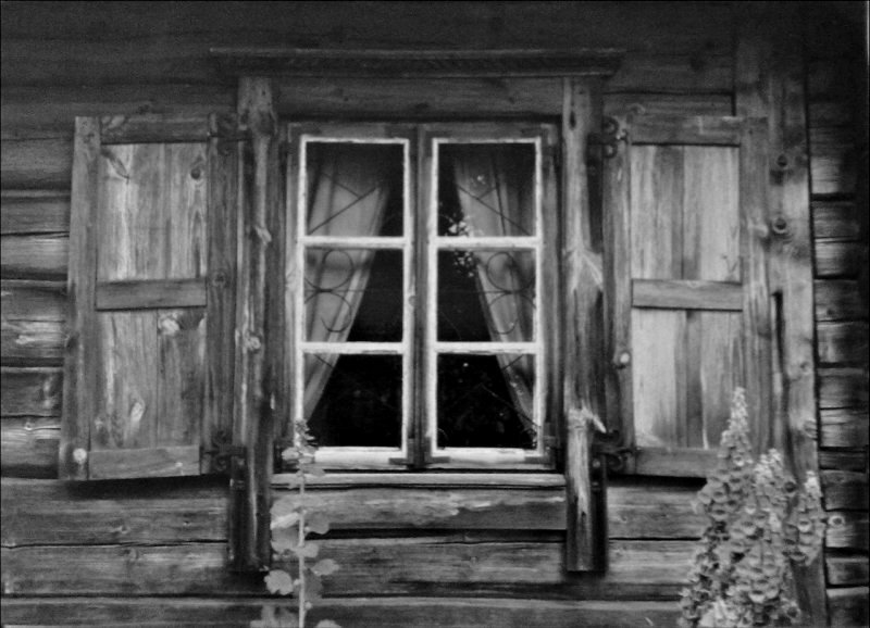 Фото из открытых источников.