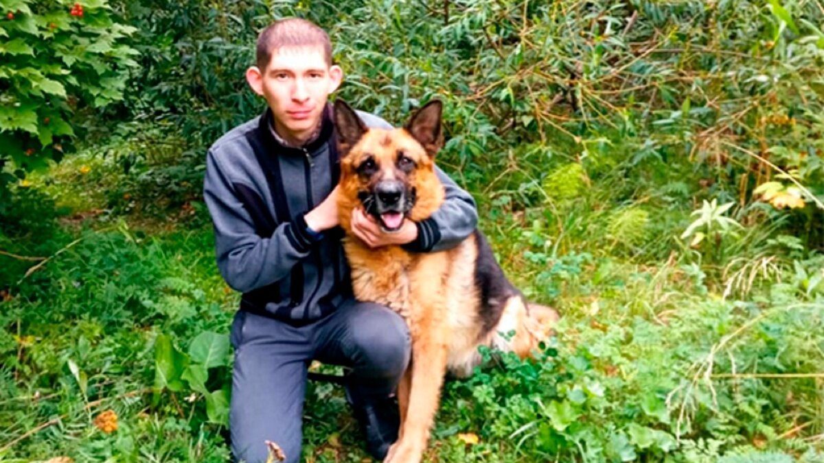     Две немецкие овчарки, которые отработали в исправительной колонии №6 УФСИН России по Удмуртской Республике, теперь вышли на заслуженный отдых.